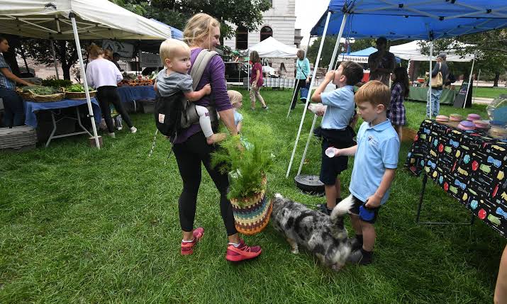 Colorado Farm and Art Market in Colorado Springs