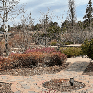 Near Cordera Community Center